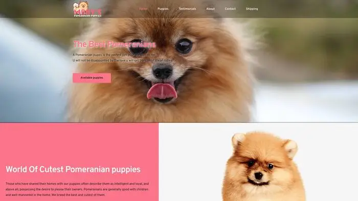 Screenshot of