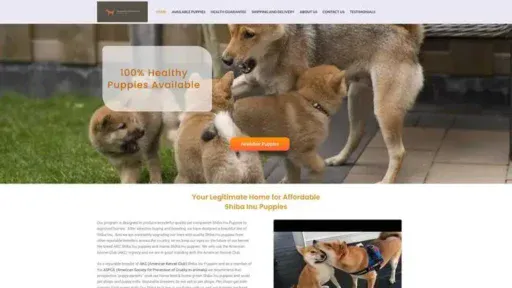 Screenshot of