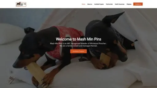 Screenshot of