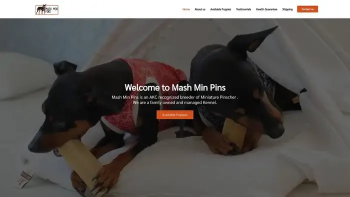Screenshot of