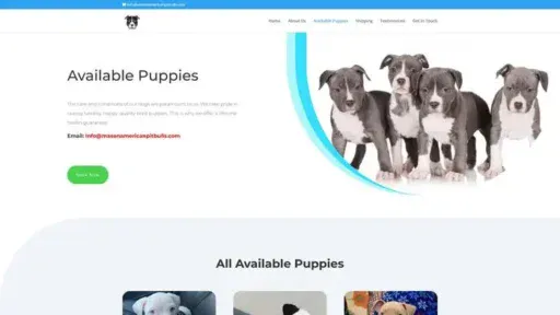 Screenshot of