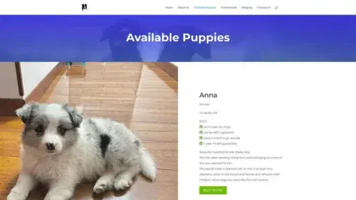 Screenshot of