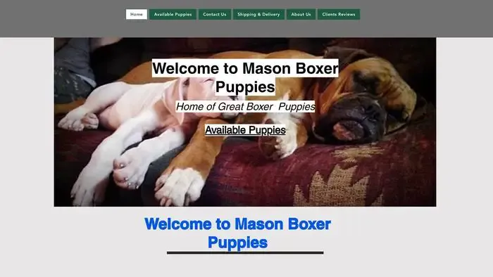 Screenshot of