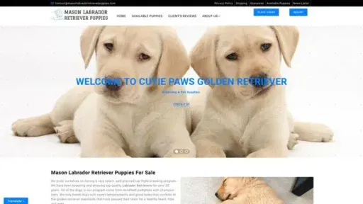 Screenshot of