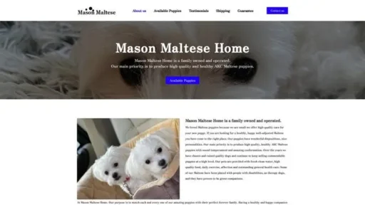 Screenshot of