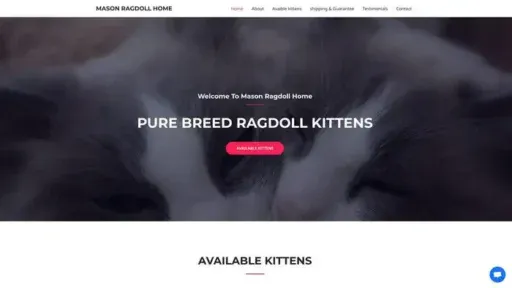 Screenshot of