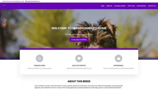 Screenshot of