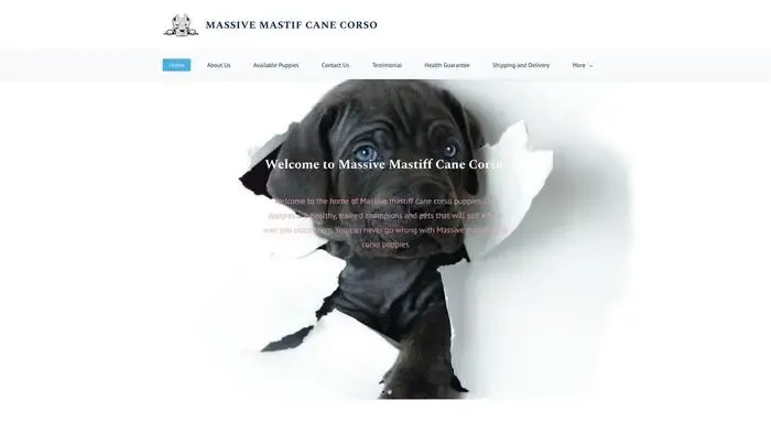 Screenshot of