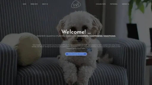 Screenshot of
