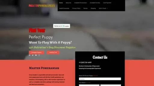 Screenshot of