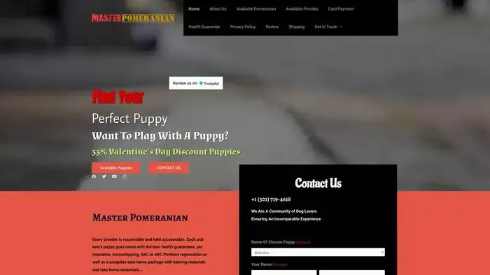 Screenshot of