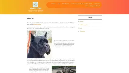 Screenshot of