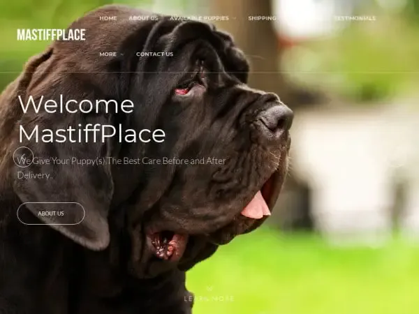 Screenshot of
