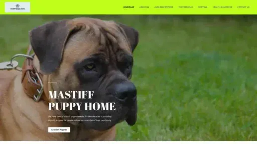 Screenshot of