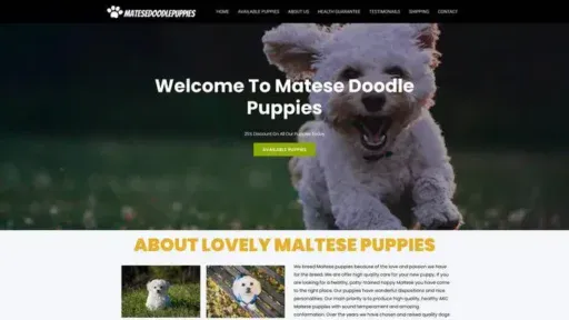 Screenshot of