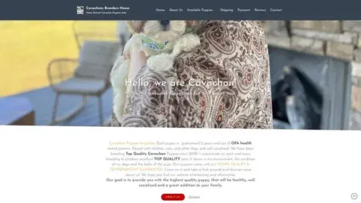 Screenshot of