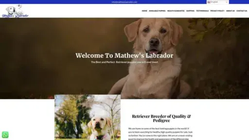 Screenshot of