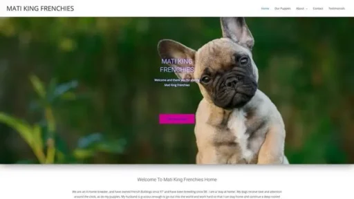 Screenshot of