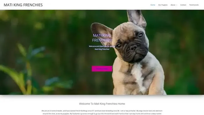 Screenshot of