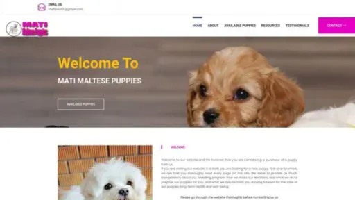 Screenshot of||