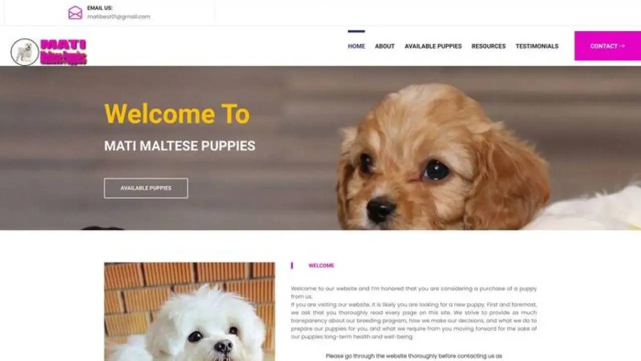 Screenshot of||