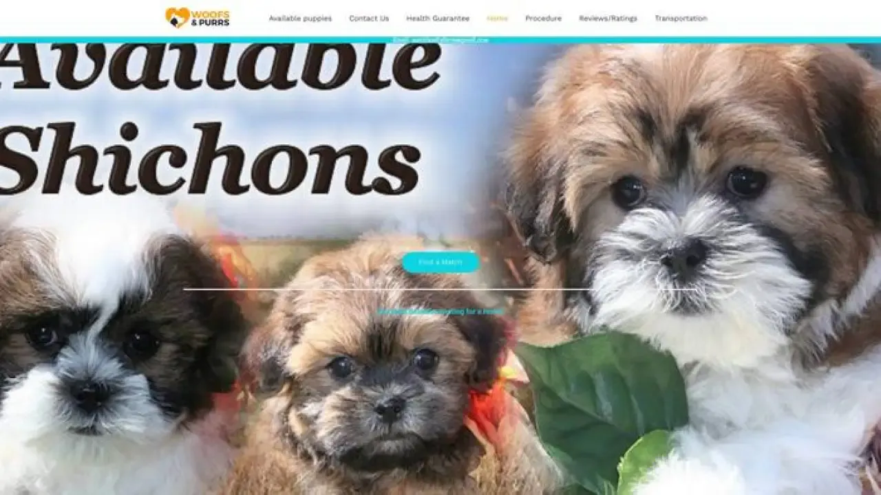 Screenshot of||