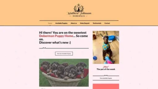 Screenshot of