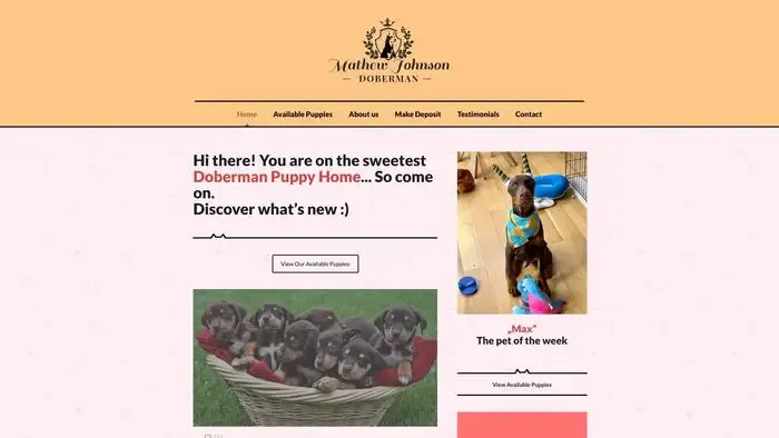 Screenshot of