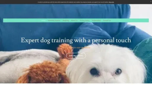 Screenshot of