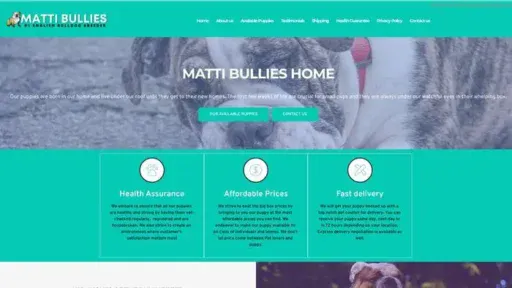 Screenshot of