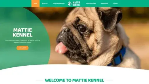 Screenshot of