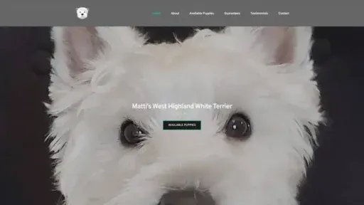 Screenshot of