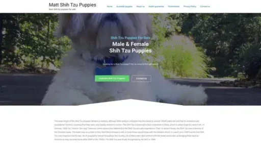 Screenshot of