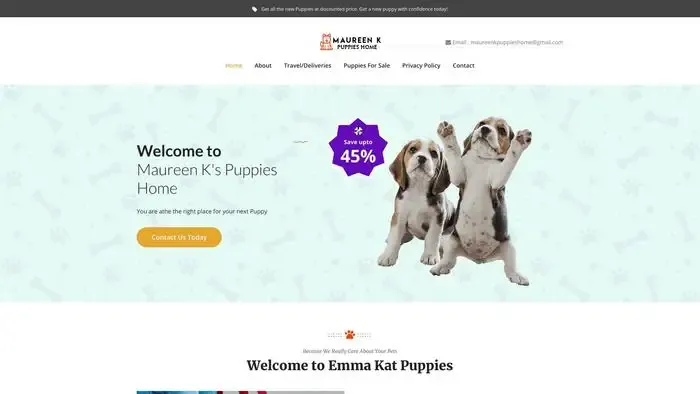 Screenshot of