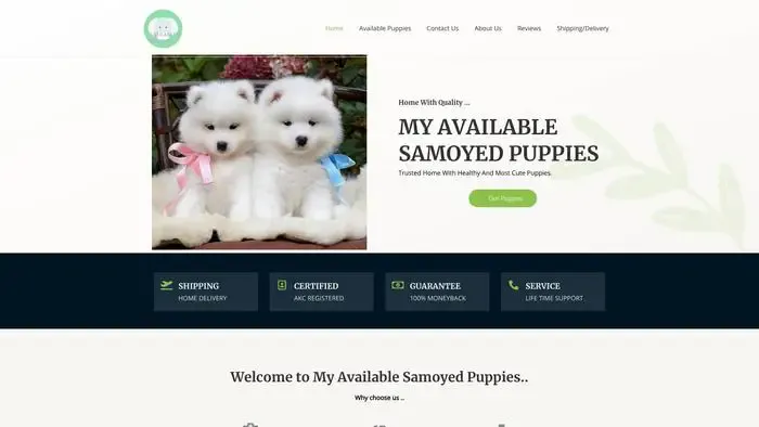 Screenshot of