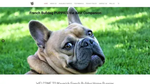 Screenshot of
