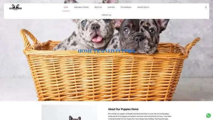 Screenshot of