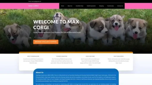Screenshot of