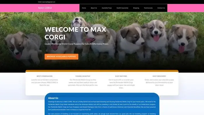 Screenshot of