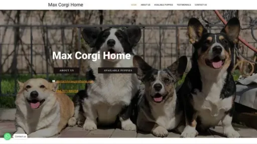 Screenshot of