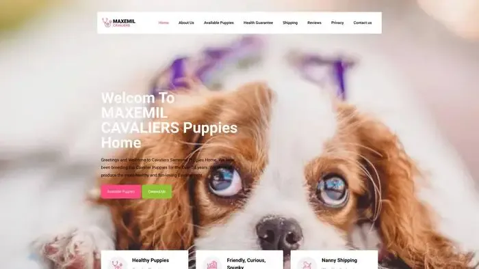 Screenshot of