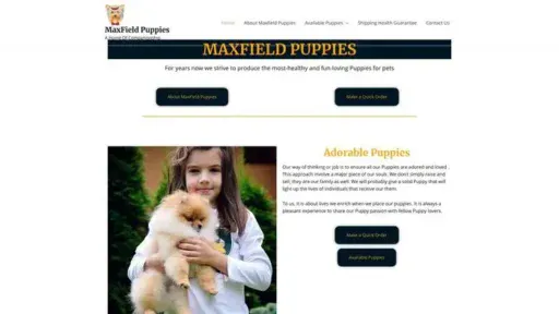 Screenshot of