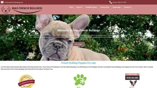 Screenshot of