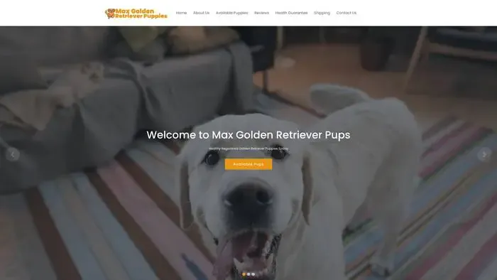 Screenshot of