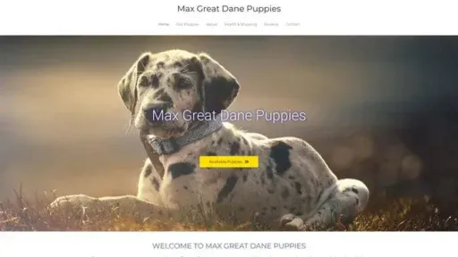 Screenshot of