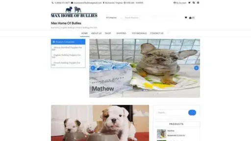 Screenshot of