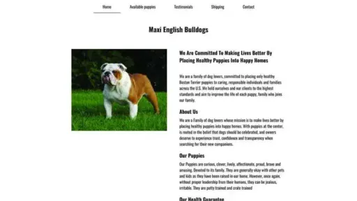 Screenshot of