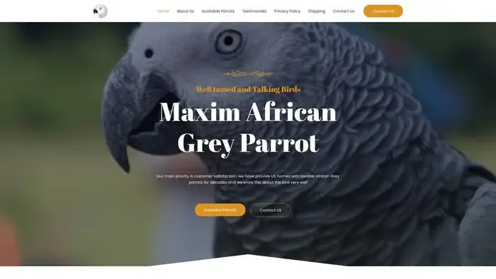 Screenshot of