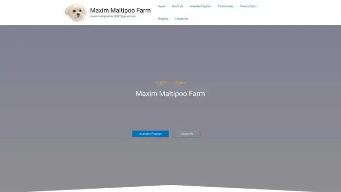 Screenshot of