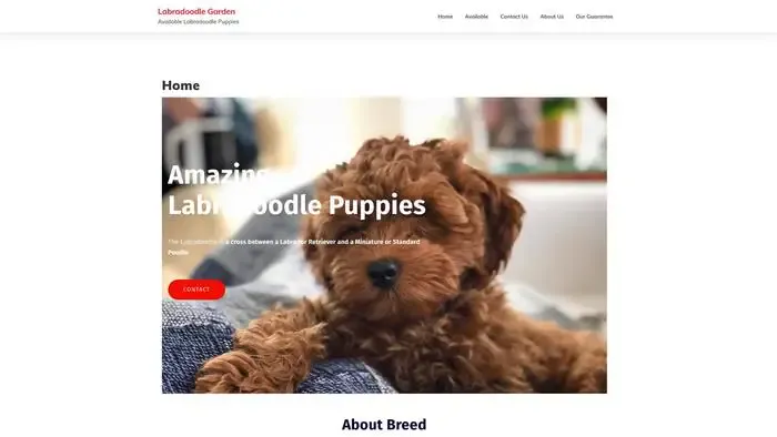 Screenshot of